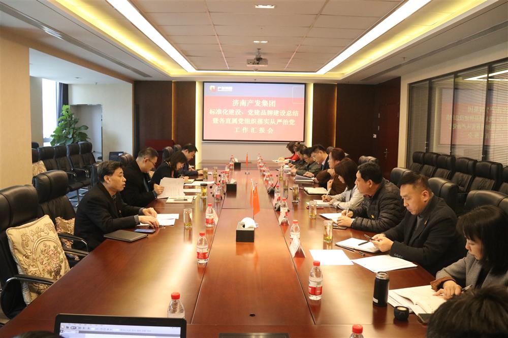 集團黨委召開黨組織標準化建設、 黨建品牌建設活動總結(jié)暨各直屬黨組織落實從嚴治黨工作匯報會議