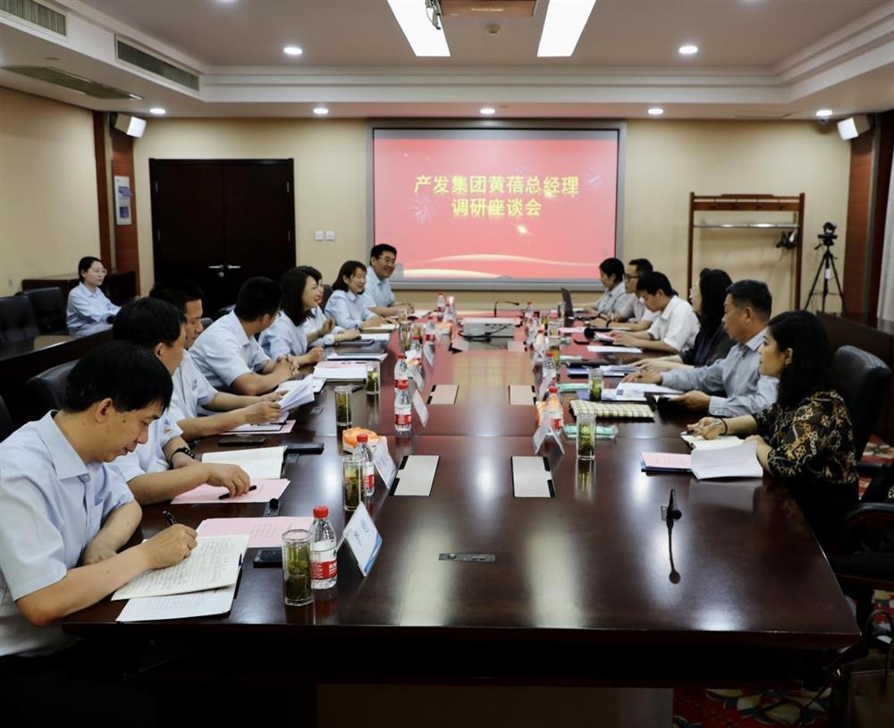 集團黨委副書記、總經(jīng)理黃蓓帶隊調(diào)研濟南市工程咨詢院